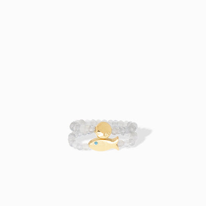 fish disc stretch ring